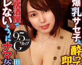 [WPVR-217]田中宁宁（田中ねね） 喝醉后马上在单间小酒馆里不被发现