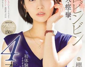 [PRED-279]櫻井まみ 一次体验太棒了