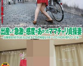 [NHDTA-340]被安上贞操带的妻子