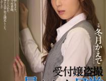 [RBD-518]冬月枫（冬月かえで） 接待小姐被暴露的日常