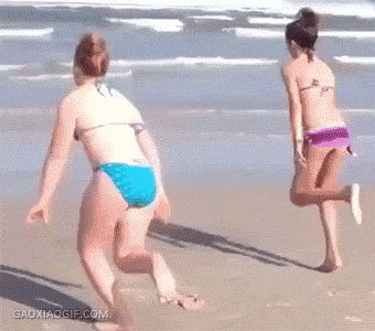 一组哈士奇搞笑图片 二哈搞笑gif