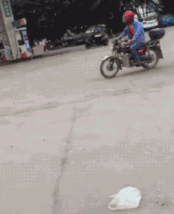 不作死就不会死gif动态图